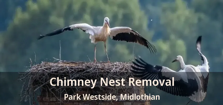 Chimney Nest Removal Park Westside, Midlothian - TX Chimney Nest Removal Park Westside, Midlothian - TX