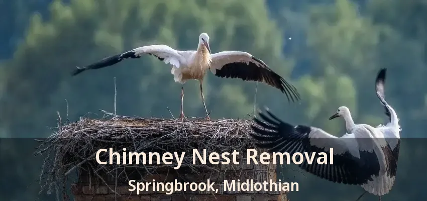 Chimney Nest Removal Springbrook, Midlothian - TX Chimney Nest Removal Springbrook, Midlothian - TX